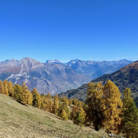 Majestic With Indoor Pool Chalet Nendaz